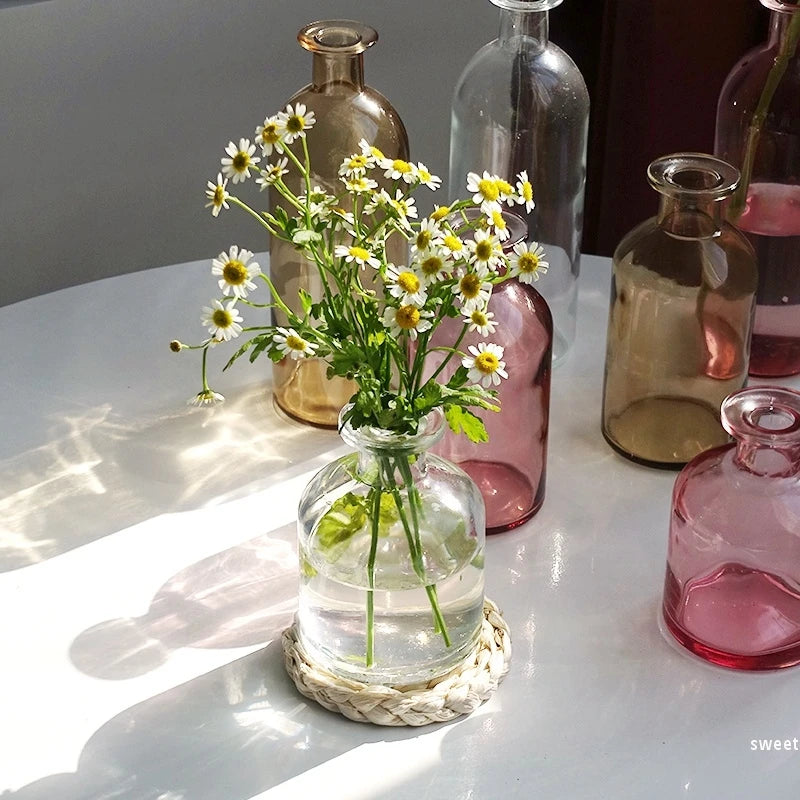 Nordic Glass Vase Transparent Small Flower Pot Ornament Hydroponic