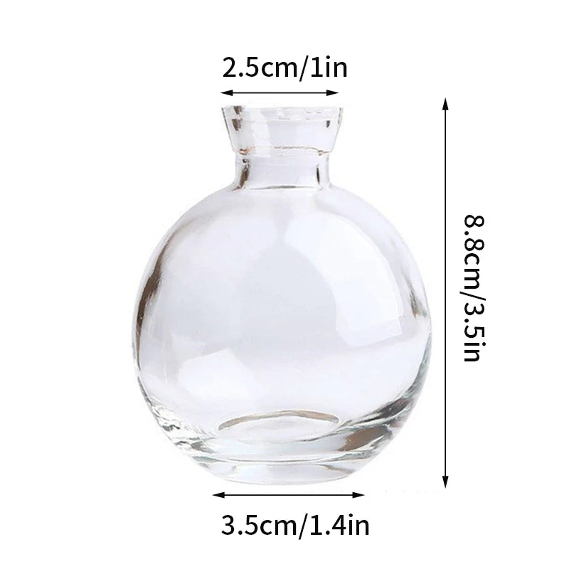 Nordic Glass Vase Transparent Small Flower Pot Ornament Hydroponic