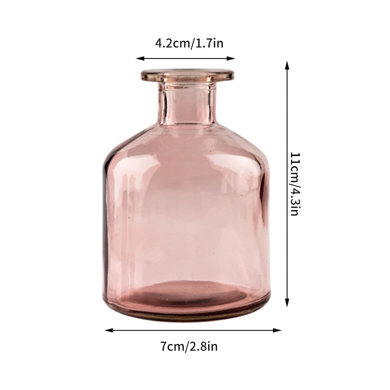 Nordic Glass Vase Transparent Small Flower Pot Ornament Hydroponic