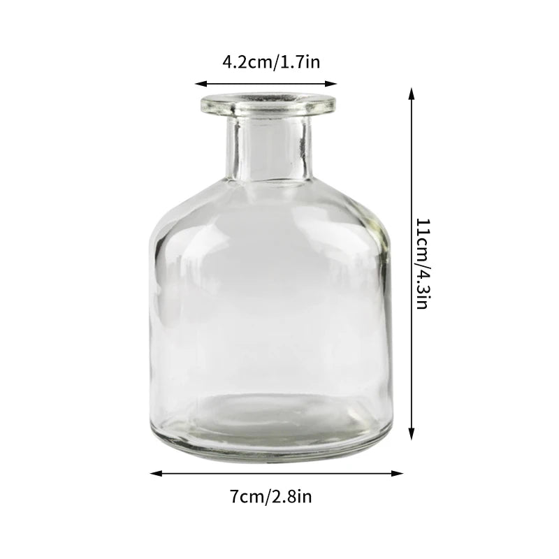 Nordic Glass Vase Transparent Small Flower Pot Ornament Hydroponic