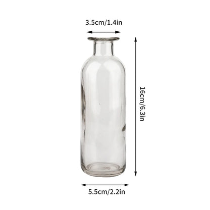 Nordic Glass Vase Transparent Small Flower Pot Ornament Hydroponic