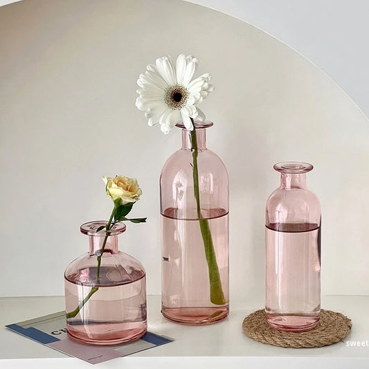 Nordic Glass Vase Transparent Small Flower Pot Ornament Hydroponic
