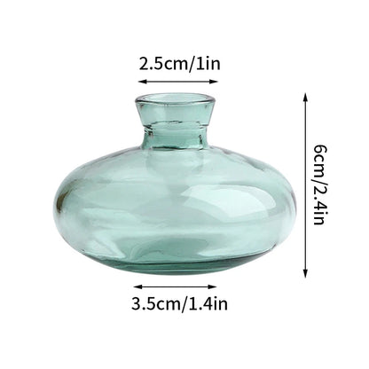 Nordic Glass Vase Transparent Small Flower Pot Ornament Hydroponic