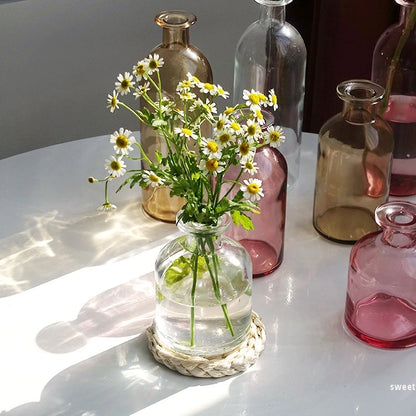 Nordic Glass Vase Transparent Small Flower Pot Ornament Hydroponic
