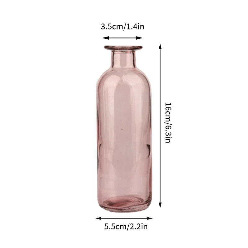 Nordic Glass Vase Transparent Small Flower Pot Ornament Hydroponic