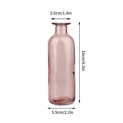 Nordic Glass Vase Transparent Small Flower Pot Ornament Hydroponic