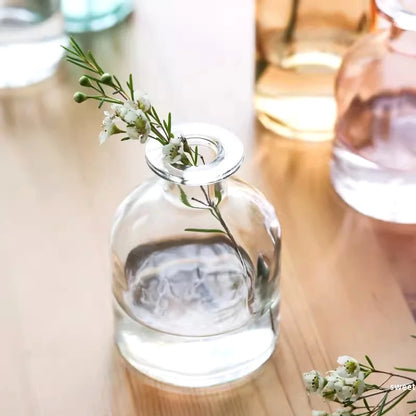 Nordic Glass Vase Transparent Small Flower Pot Ornament Hydroponic