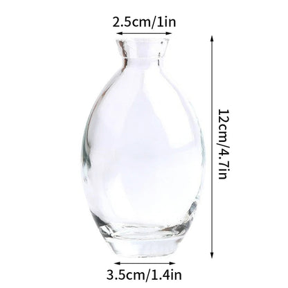 Nordic Glass Vase Transparent Small Flower Pot Ornament Hydroponic