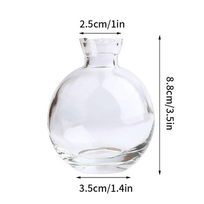Nordic Glass Vase Transparent Small Flower Pot Ornament Hydroponic